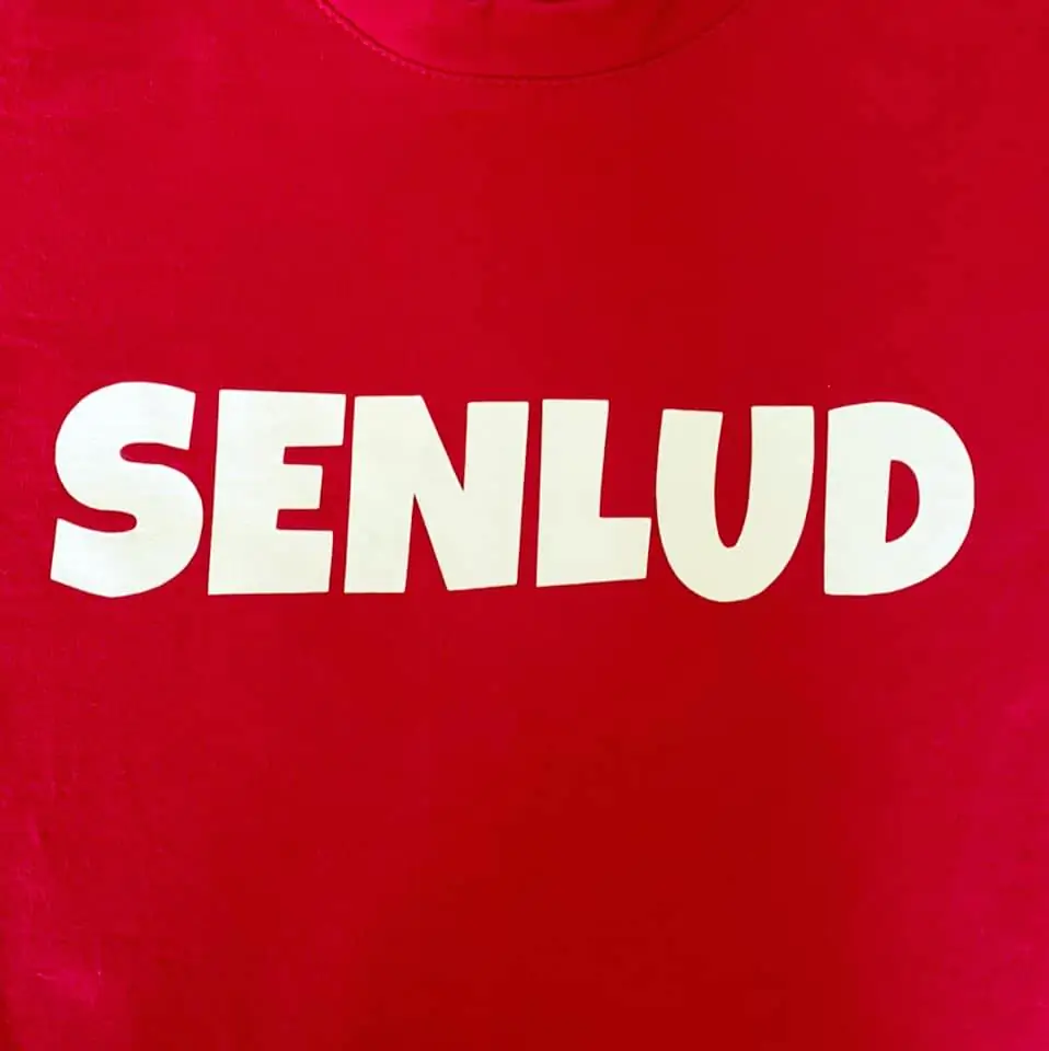 Logo du festival Senlud