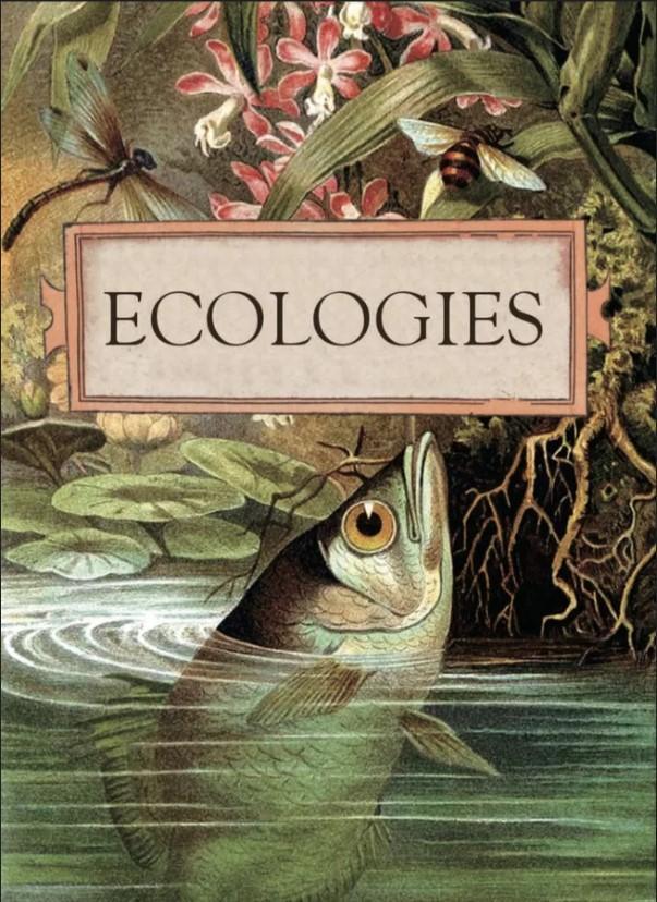 Ecologies