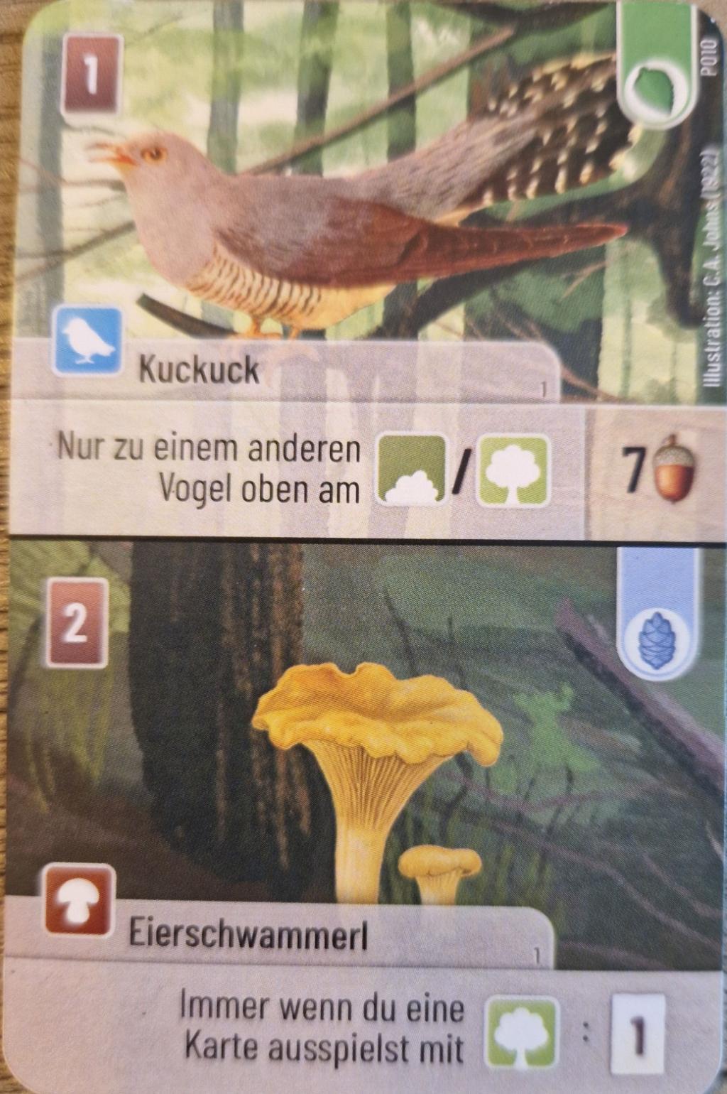 Forêt Mixte - Kuckuck / Chanterelle Promo Card