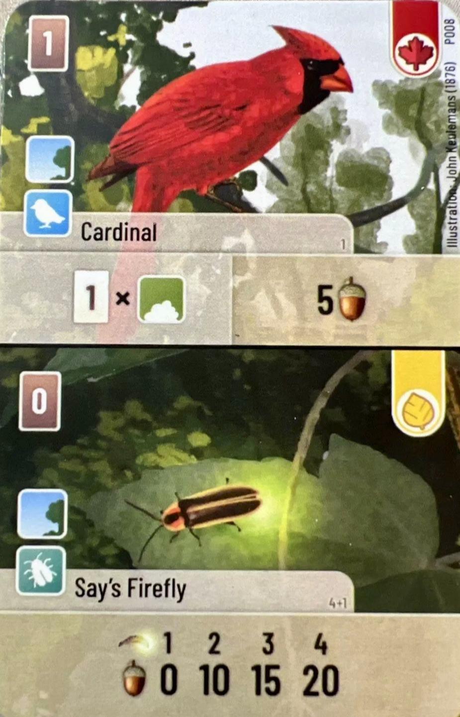 Forêt Mixte - Cardinal / Say's Firefly Promo Card