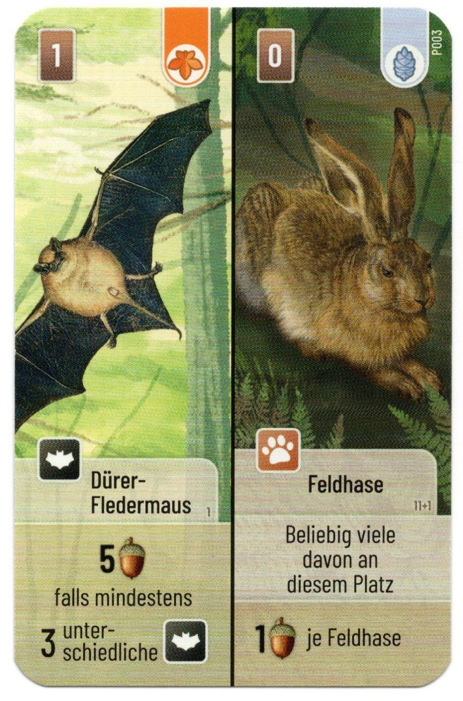 Forêt Mixte - Dürer-fledermaus / Feldhase Promo Card