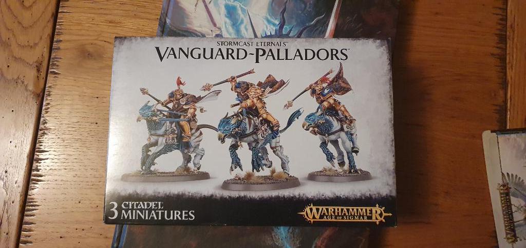 Warhammer Age Of Sigmar - Vanguard Palladors