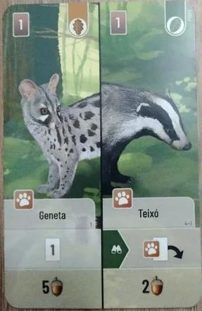 Forêt Mixte - Geneta / Teixó Promo Card