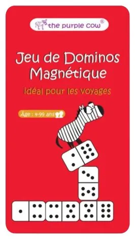 Jeu De Dominos Magnétique Idéal Pour Les Voyages