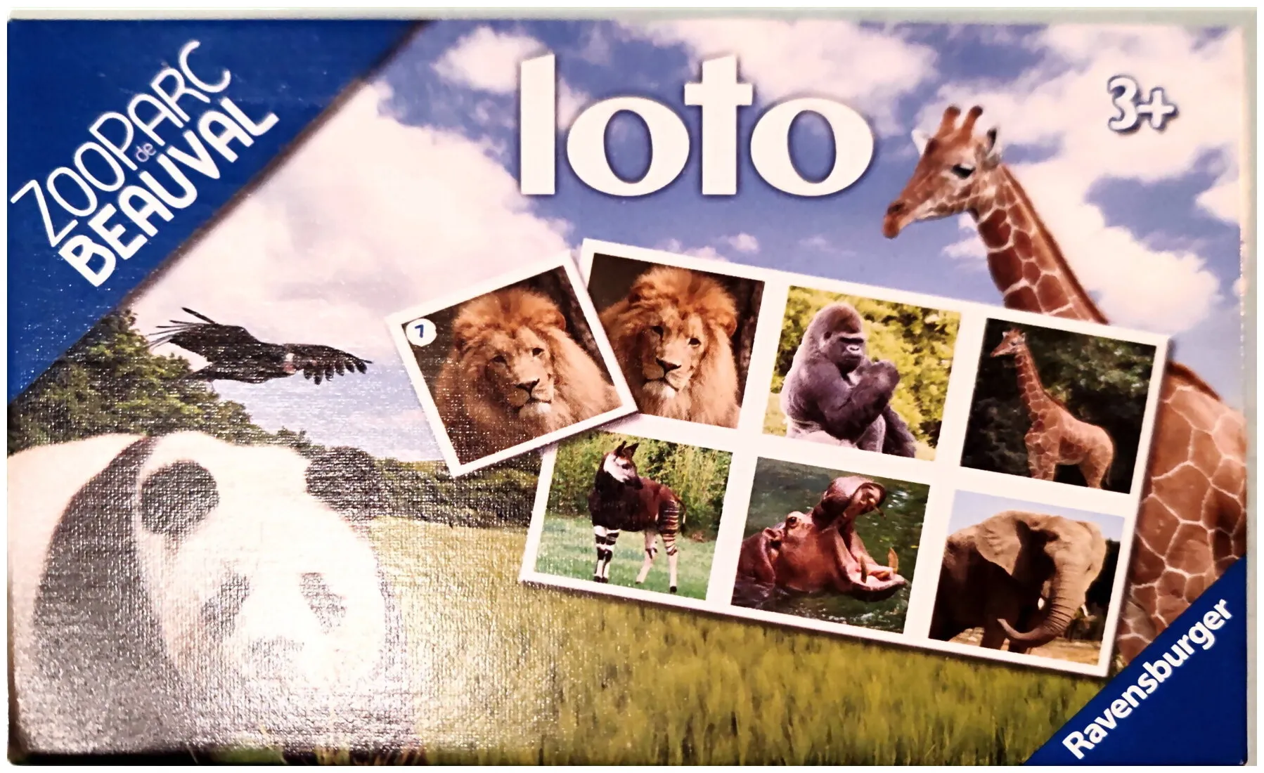 Loto Zooparc De Beauval