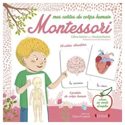 Mes Cartes Du Corps Humain Montessori