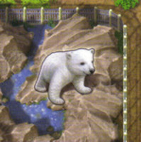 Image de Zooloretto: Polar bear (promo)