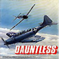 Image de Air Force : Dauntless