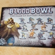 Image de Blood Bowl 2016 - the dwarf giants (équipe de nains)