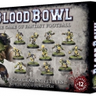 Image de Bood bowl 2016 The Scarcrag Snivellers