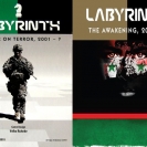 Image de Labyrinth : The war on terror + extension The Awakening