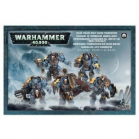 Image de Warhammer 40.000 - Escouade de terminator gardes loups