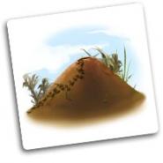 Image de Petrichor - Anthill Promo Tile