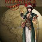 Image de Steamshadows - Meddylgar