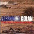 Image de Flashpoint: Golan