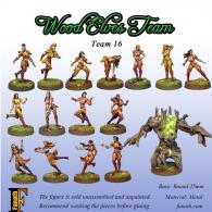 Image de Blood Bowl - Figurines - Fanath : Wood Elves Team (16 Players)