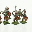 Image de Warhammer - Reiksguard