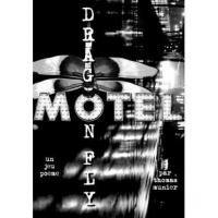 Image de Dragonfly Motel