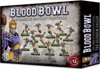 Image de Blood Bowl 2016 - The Elfheim Eagles