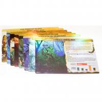 Image de Spirit Island - Foil Panels