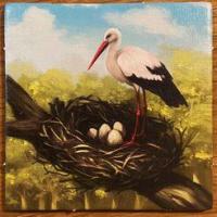 Image de Zooloretto - Stork