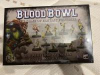 Image de Blood Bowl 2016 - Team Elfe Sylvain : The Athelorn Avengers