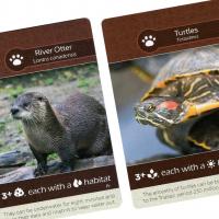 Image de Earth - Promo Card Otter/turtles