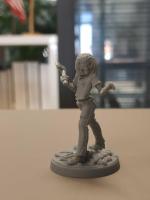 Image de Cmon Iron Maiden - Zombicide Iron Maiden