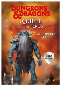 Image de Dungeons & Dragons - La Quête Dont On Est Le Héros Un Problème De Taille