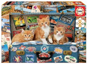 Image de Petits Chats Voyageurs